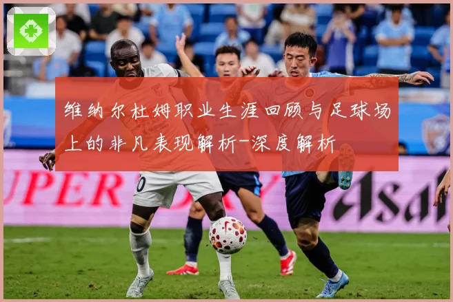 维纳尔杜姆职业生涯回顾与足球场上的非凡表现解析-深度解析