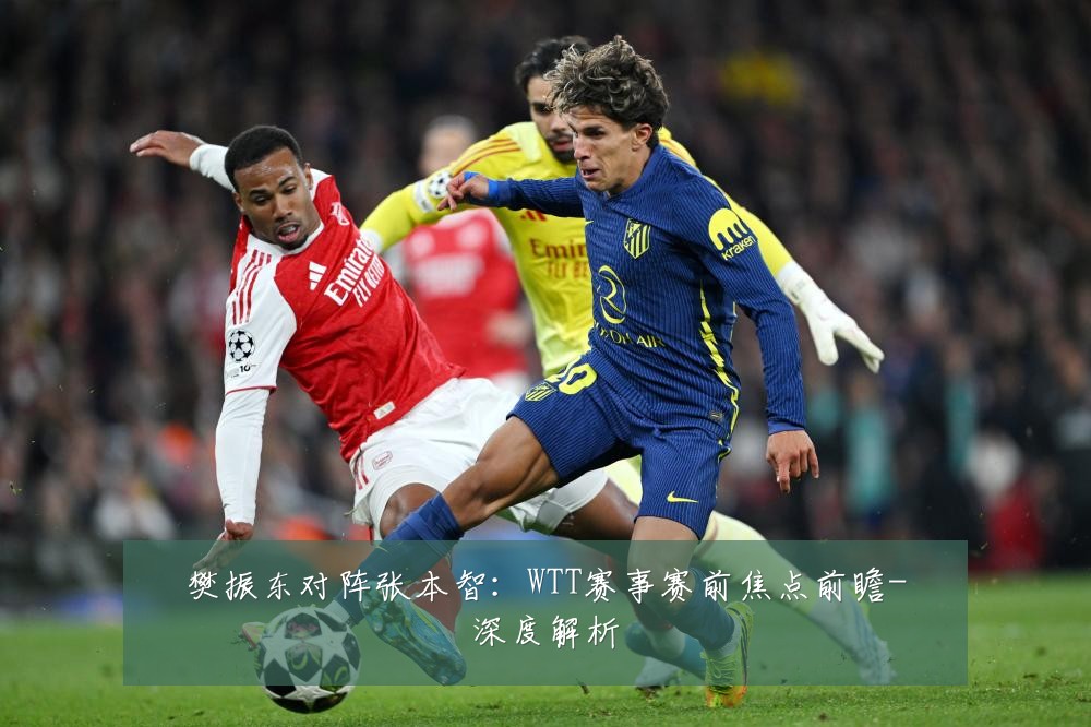 樊振东对阵张本智:WTT赛事赛前焦点前瞻-深度解析